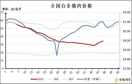 天下白条猪肉价钱